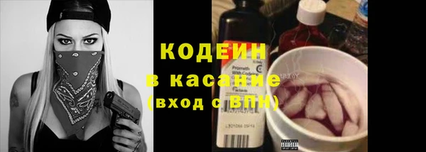 крисы Нязепетровск