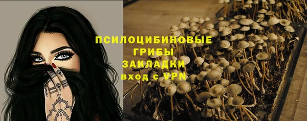 синтетический гашиш Няндома