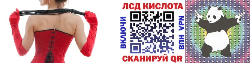 купить наркотики цена  Кировград  нарко площадка наркотические препараты  Наркотические марки 1,5мг 